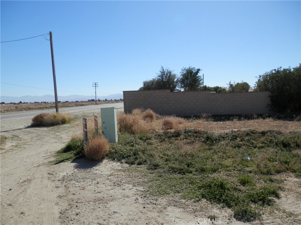 Picture 10