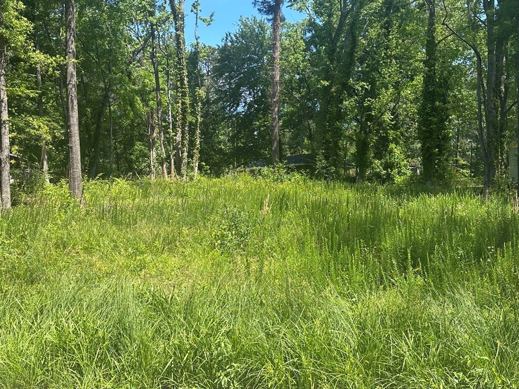 Picture 3
