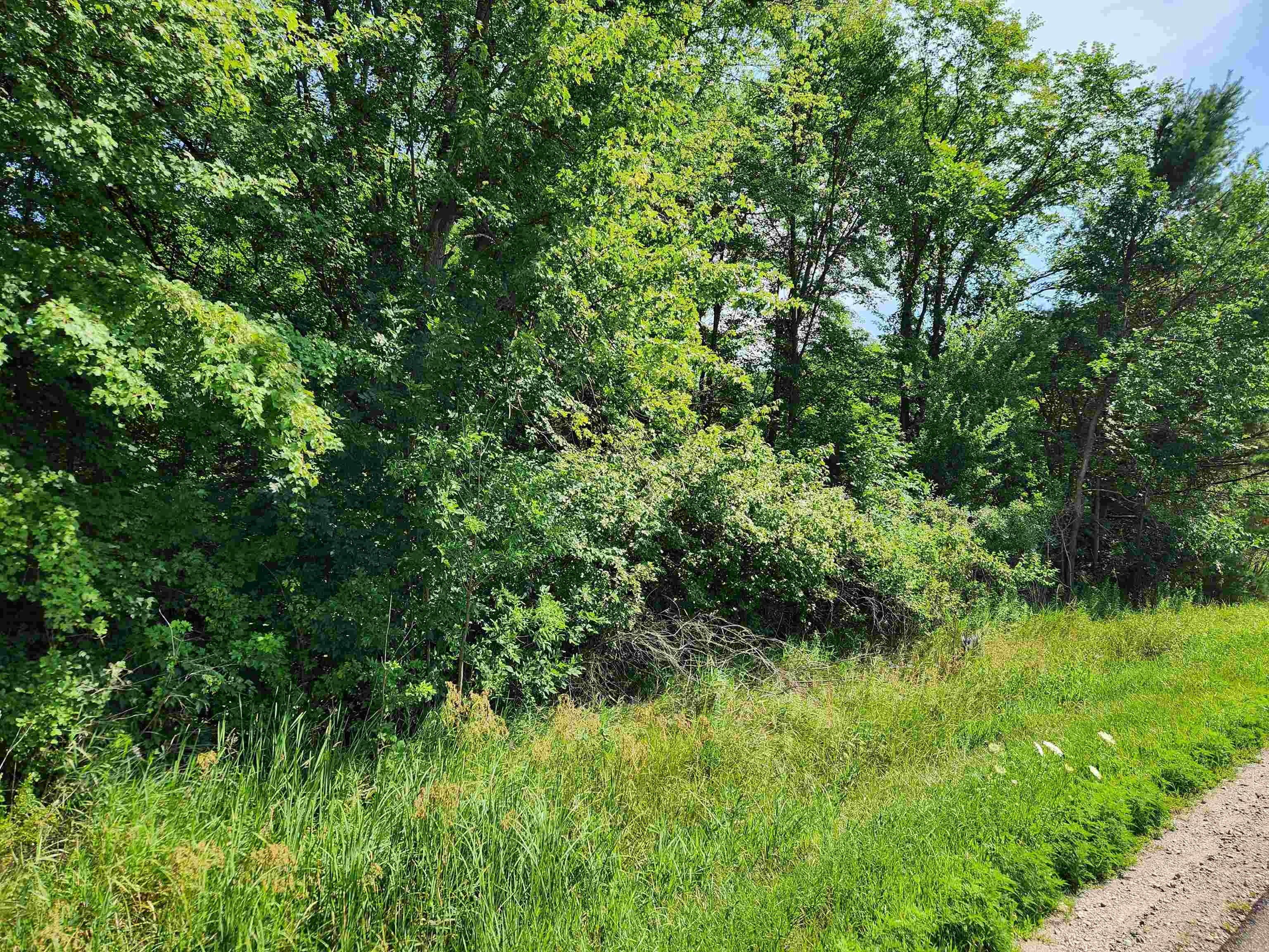 Wooded 10 Acres for Hunting