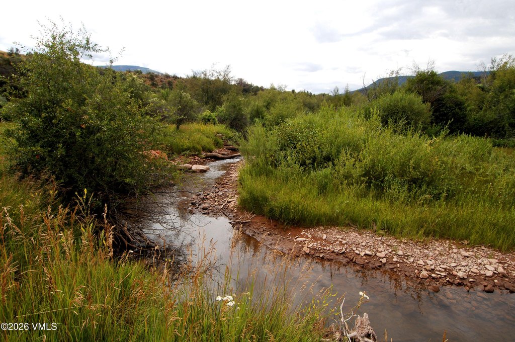 Picture 49