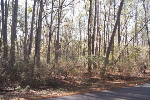 LAND, Georgetown, SC