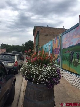 Land For Sale, Mancos, CO