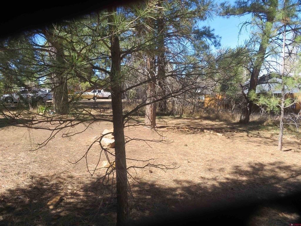 Picture 7