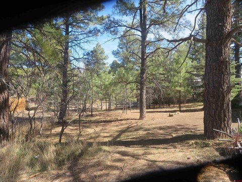 Land in Pagosa Springs, CO