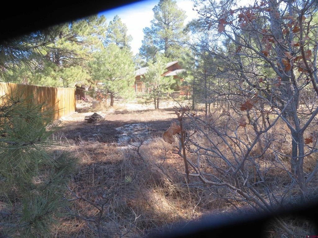 Picture 4
