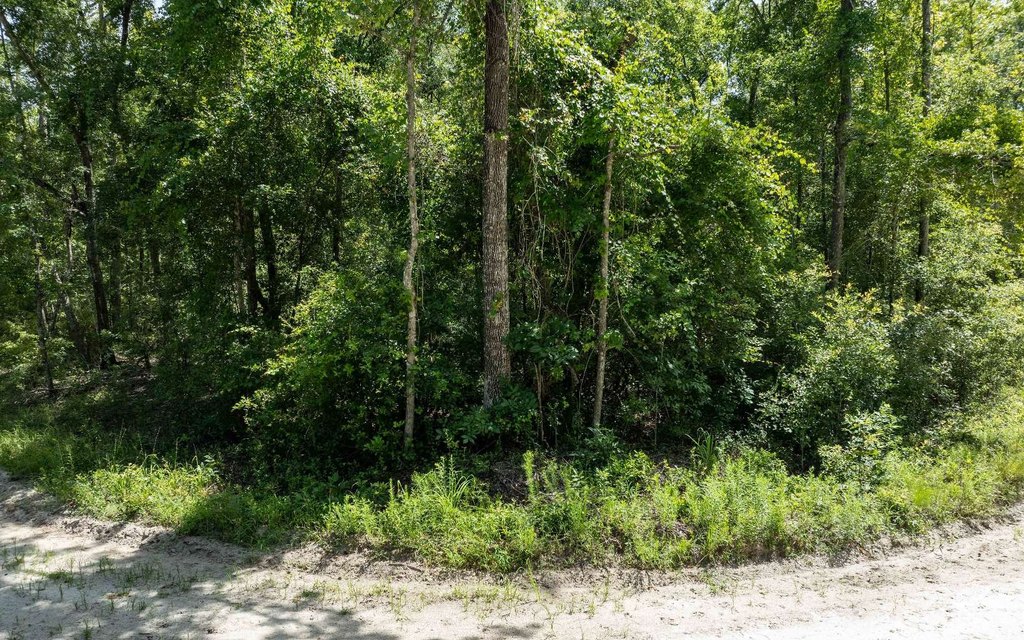 Picture 14
