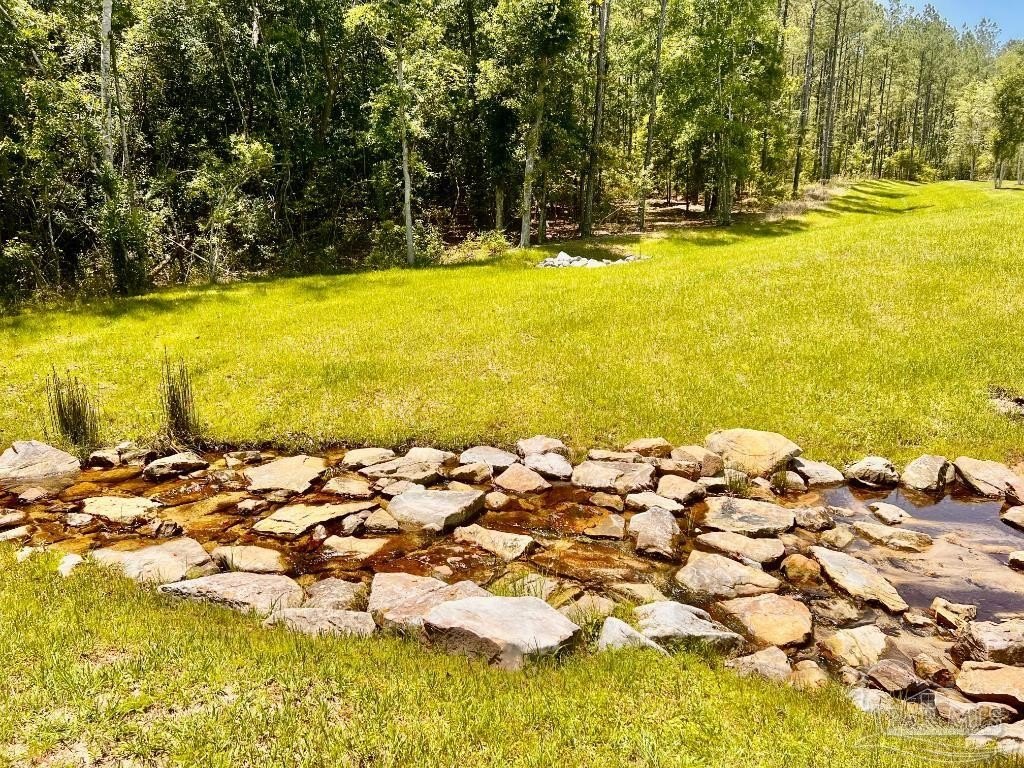 Picture 36