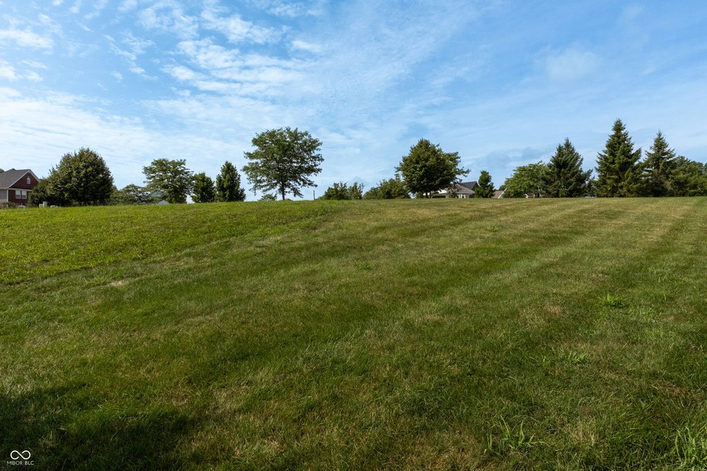 Picture 10