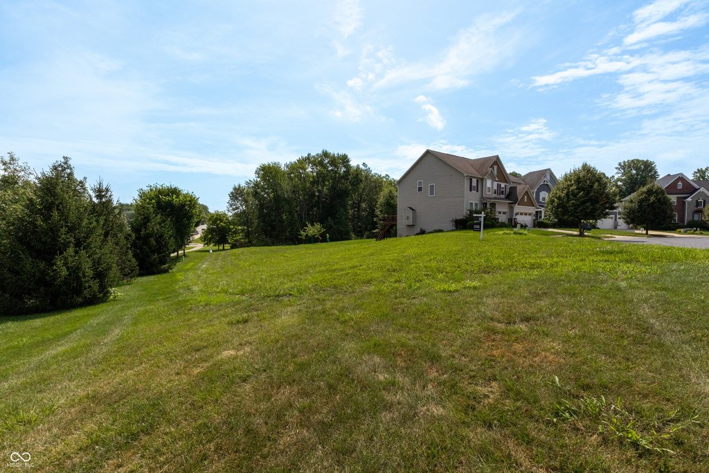 Picture 14