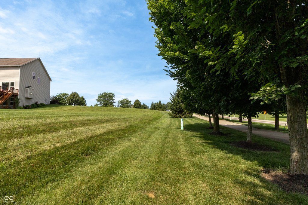 Picture 8