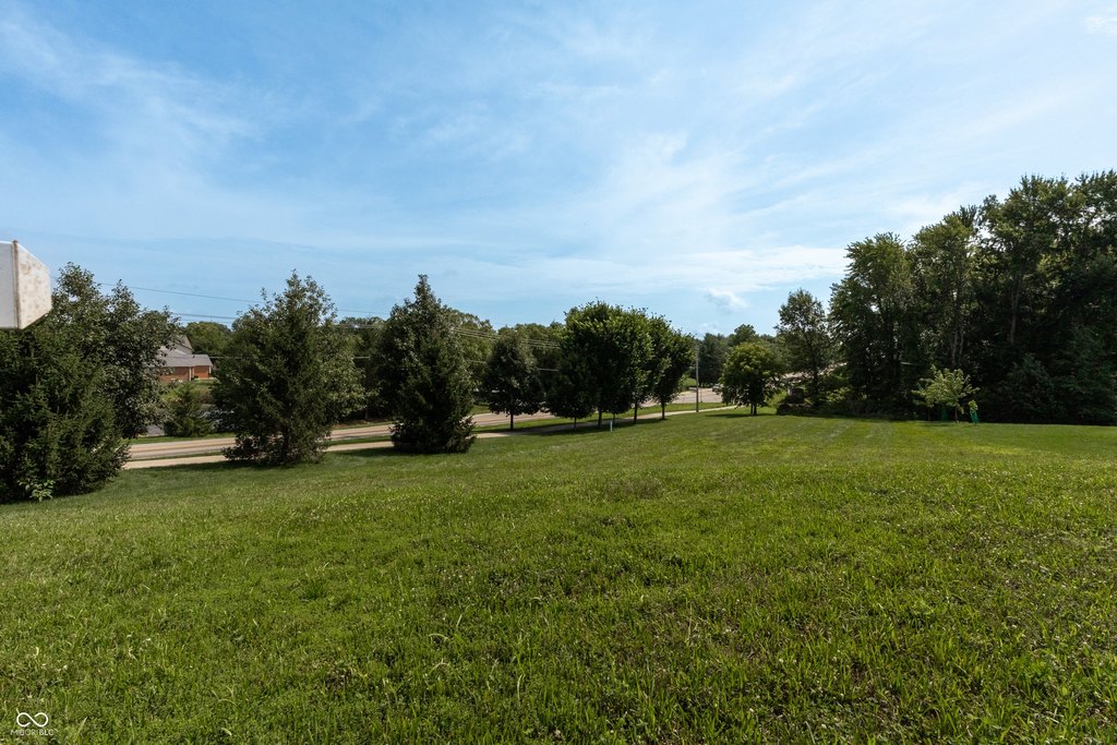 Picture 12