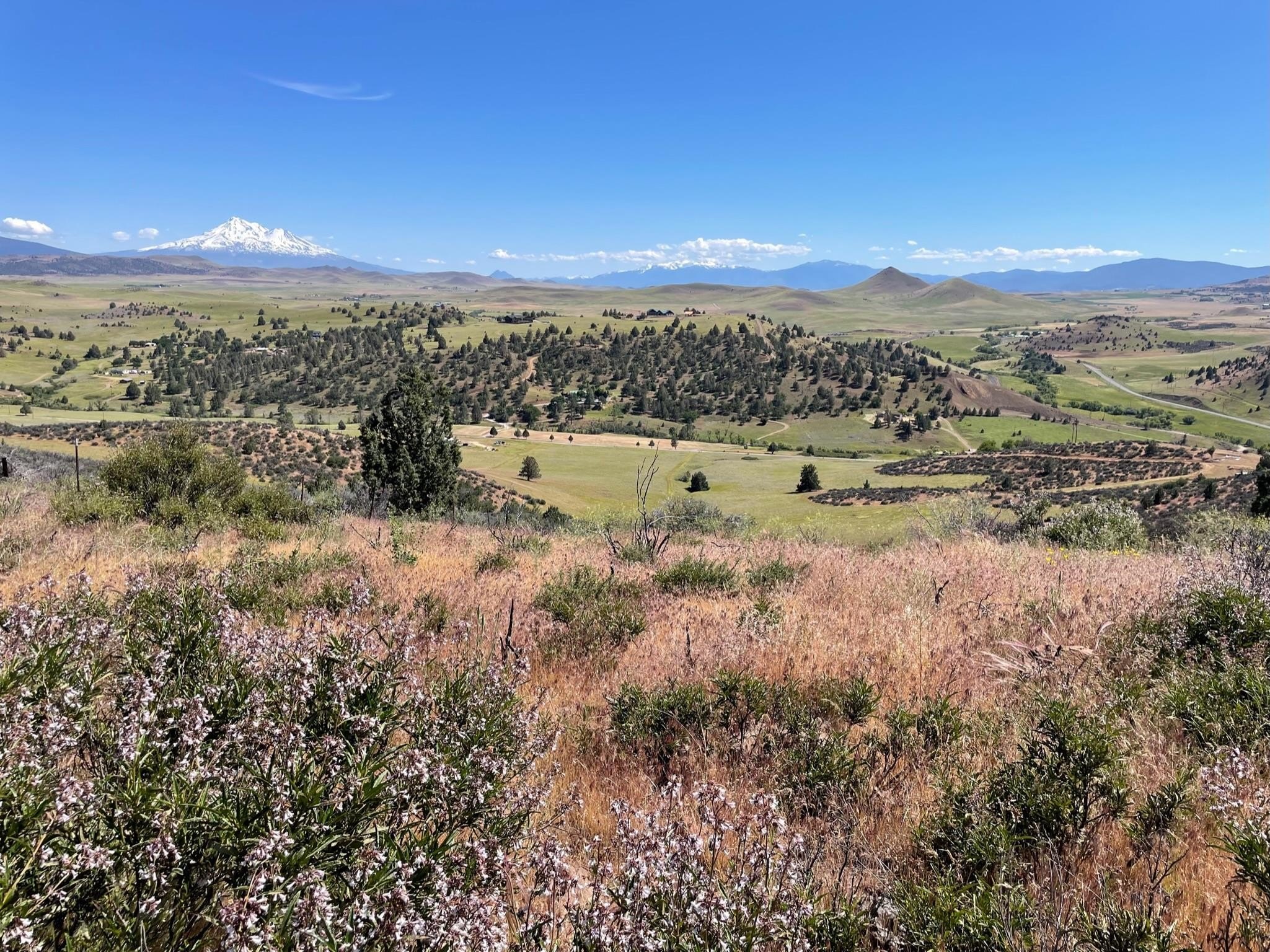 2.5 Acres with Panoramic Views