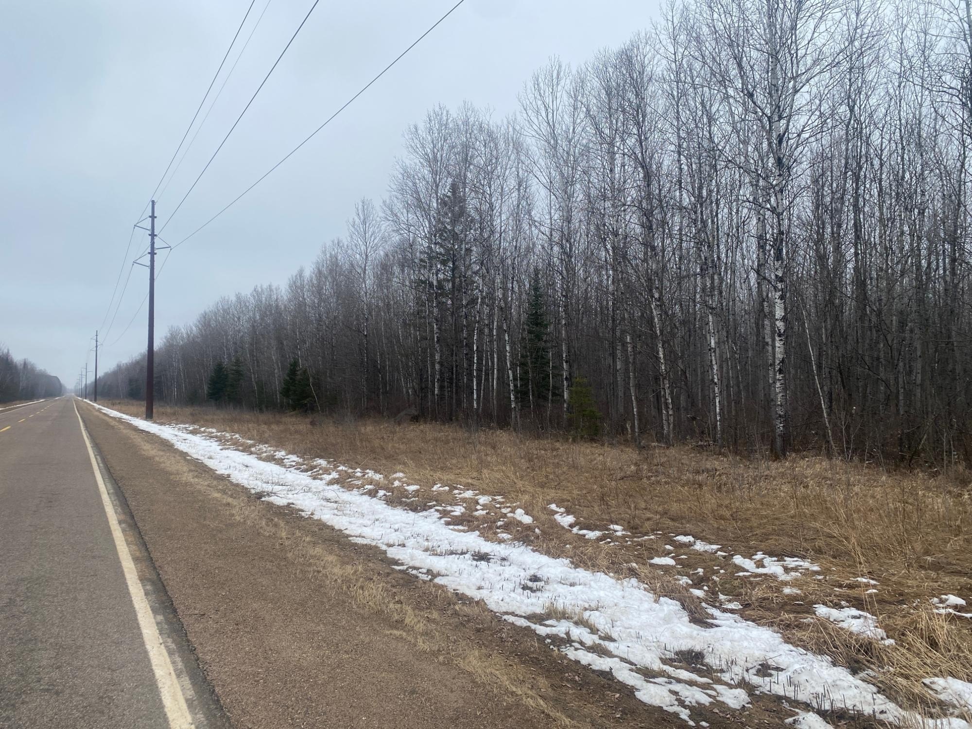Tomahawk, WI Forestland