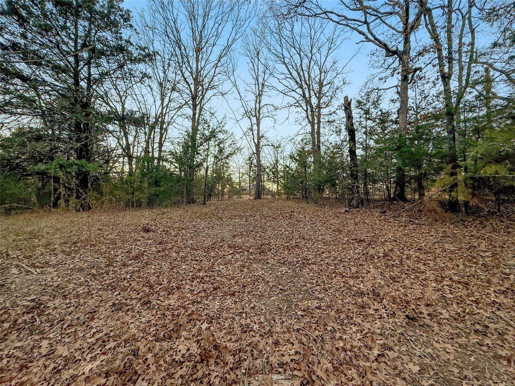 Picture 19
