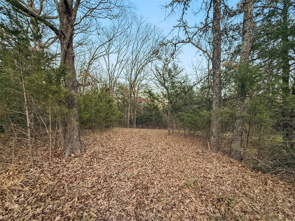 Picture 15