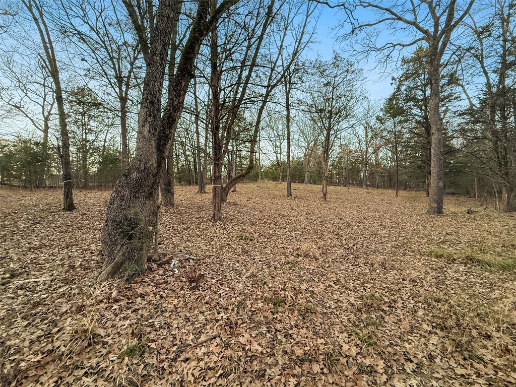 Picture 18