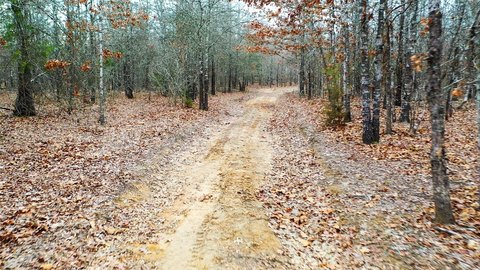 Recreational Hunting Land with County Road Access