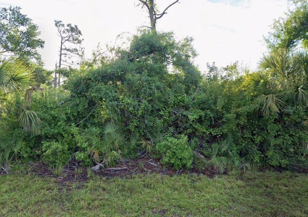 Picture 6