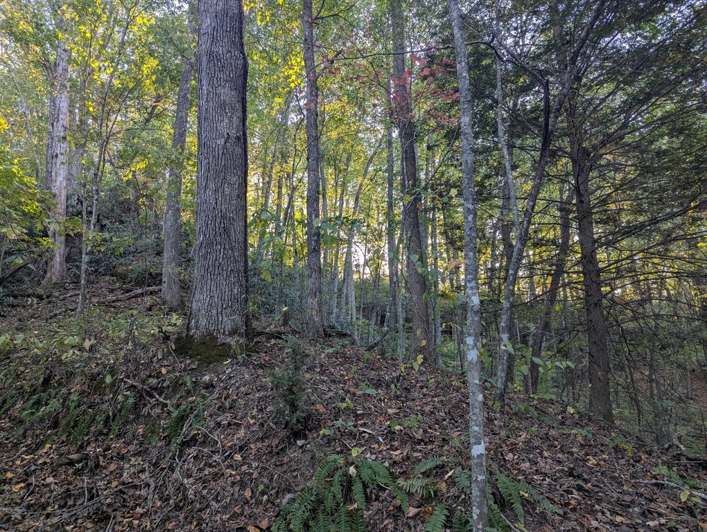 Picture 19