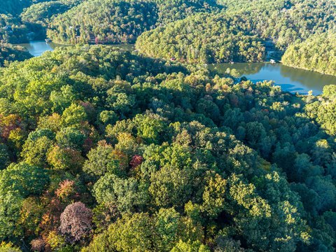 Land, London, KY
