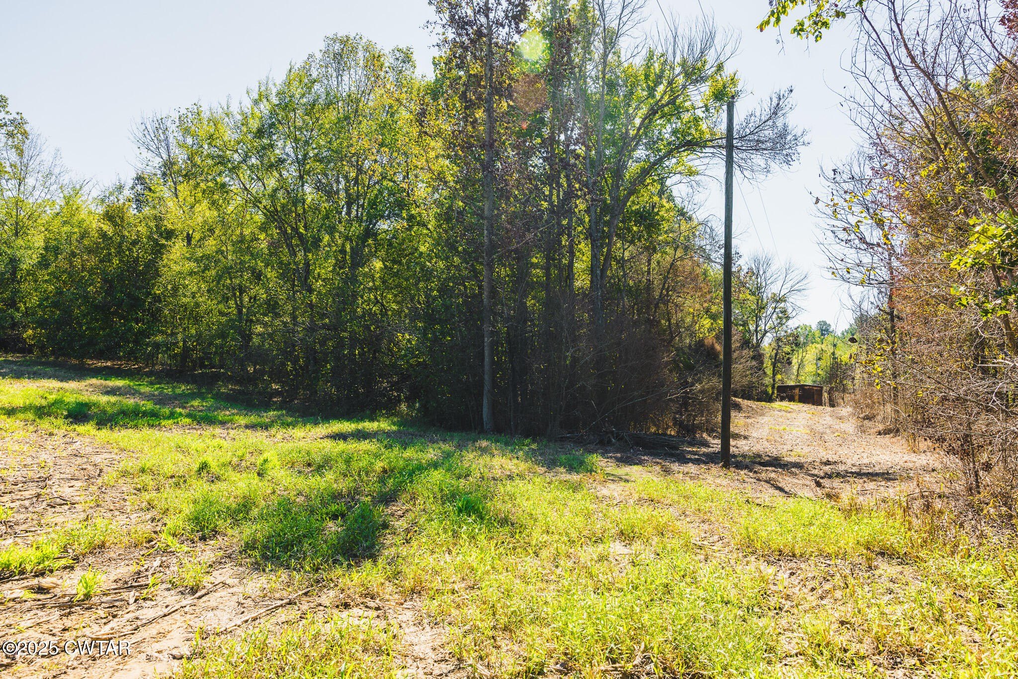 9.33 Acres of Farmland