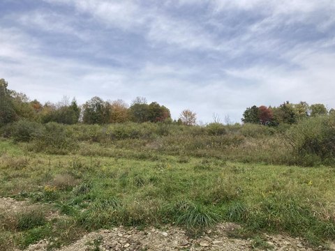 Land, Middlebury Center, PA