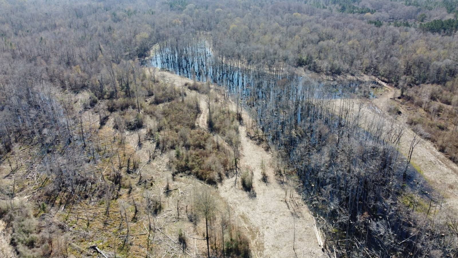 290 Acres Hunting/Recreational Land