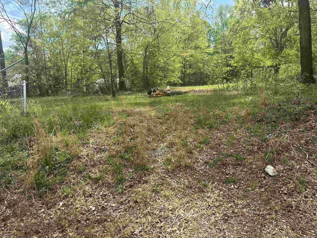 Picture 3