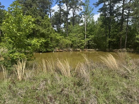Rural Pasture Land with Pond