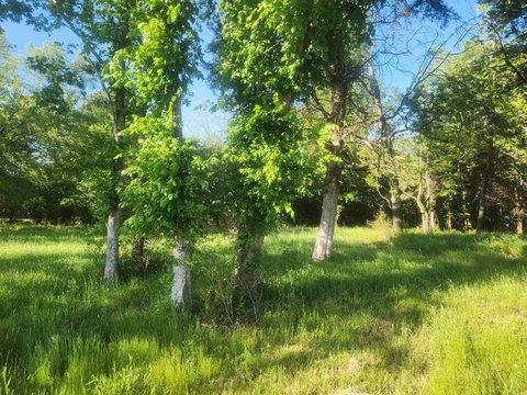 Residential Lot in Lamar, AR