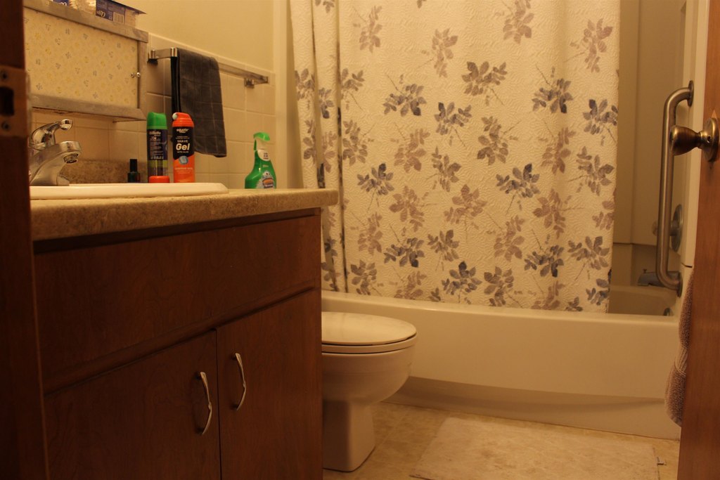 Picture 11