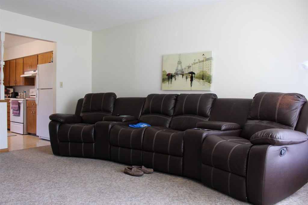 Picture 8