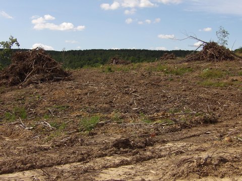 Land, Evensville, TN