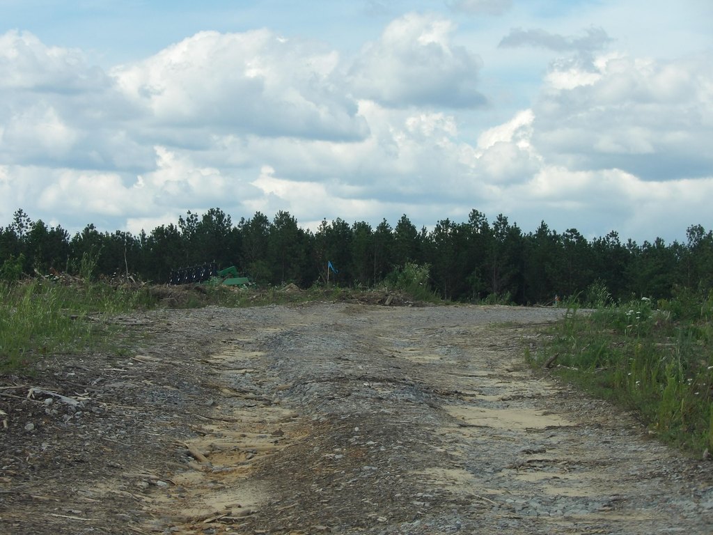 Picture 13