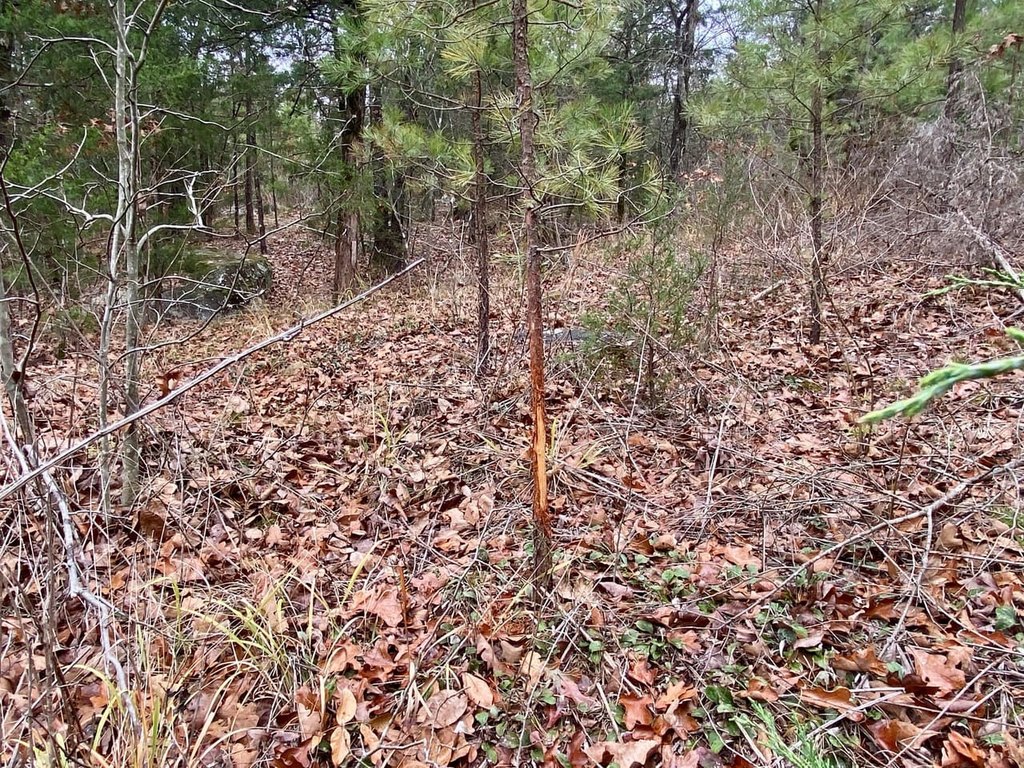 Picture 8