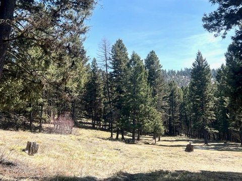 Seeley Lake Land with Views
