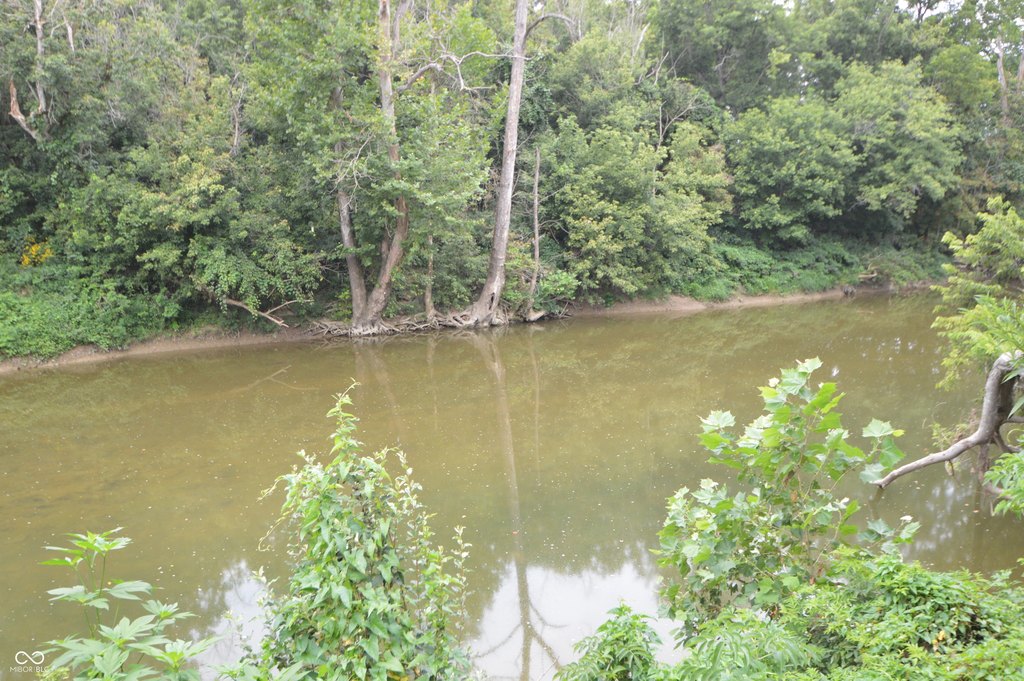 Picture 13