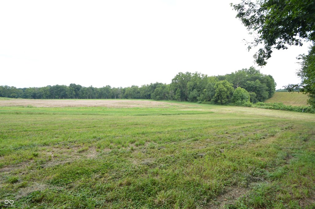Picture 10