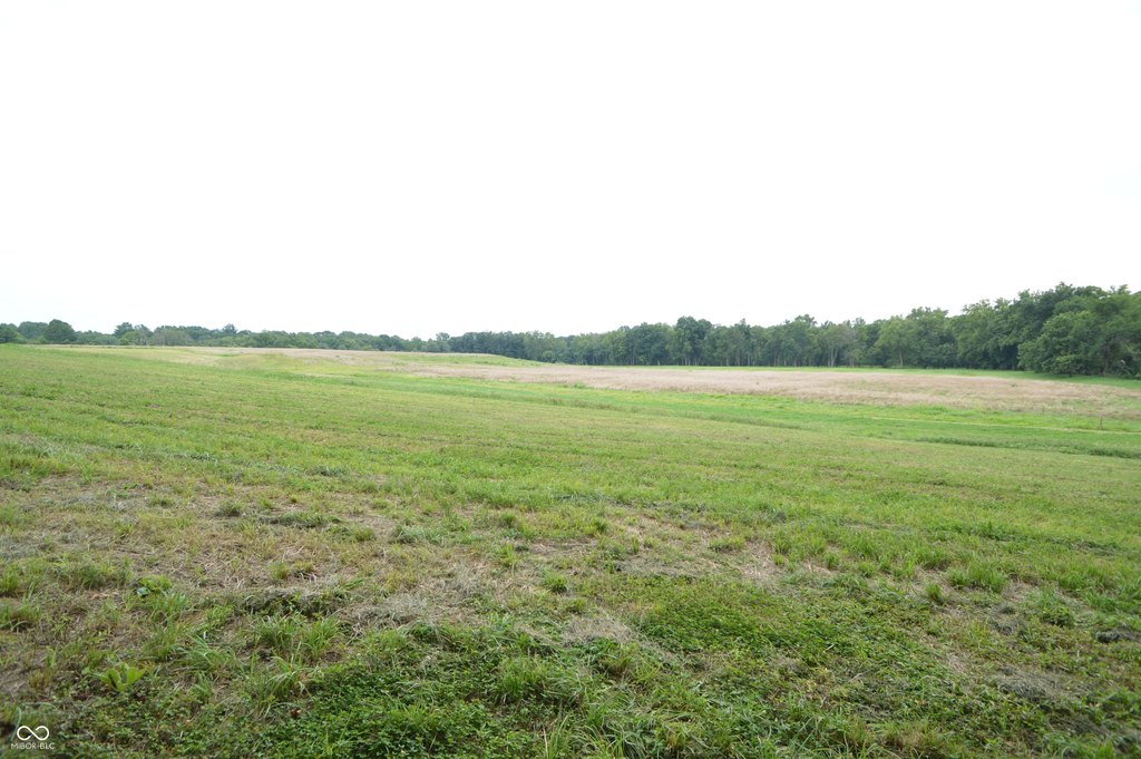 Picture 11