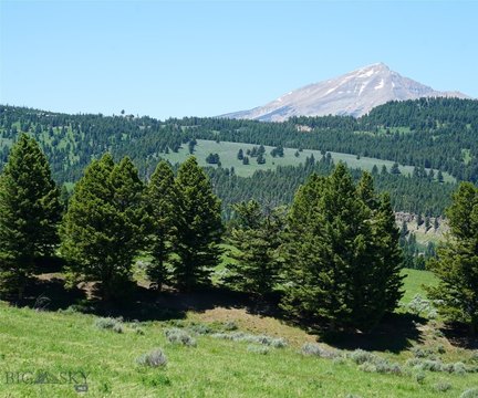 Big Sky Alpine Meadow Land