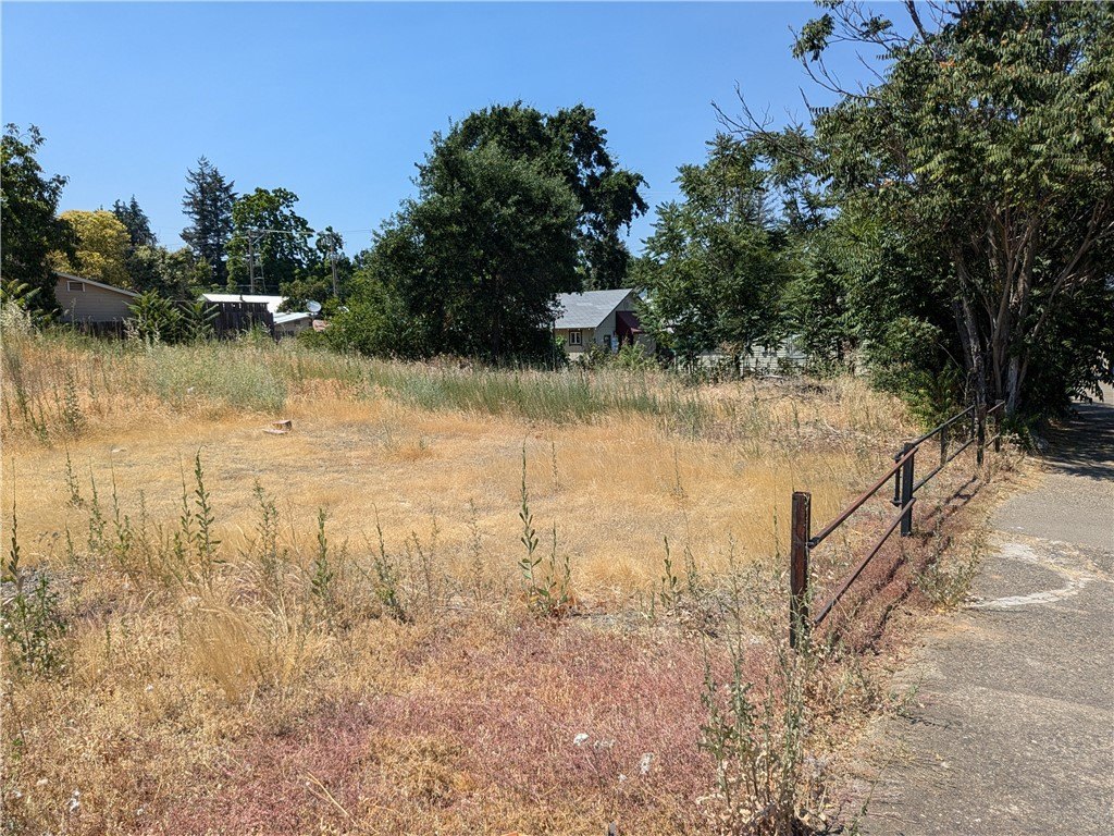 Picture 3