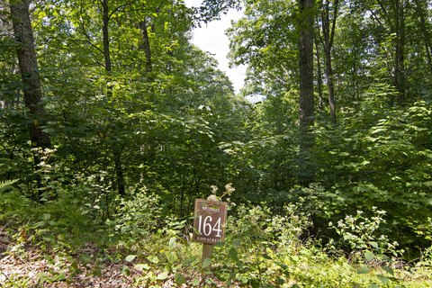 Mountain Homesite in Gated Community