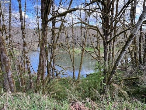 Nehalem River Frontage Land