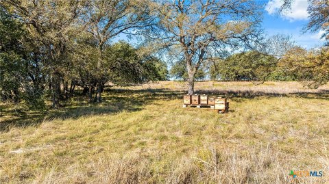 Oglesby, TX Land Opportunity