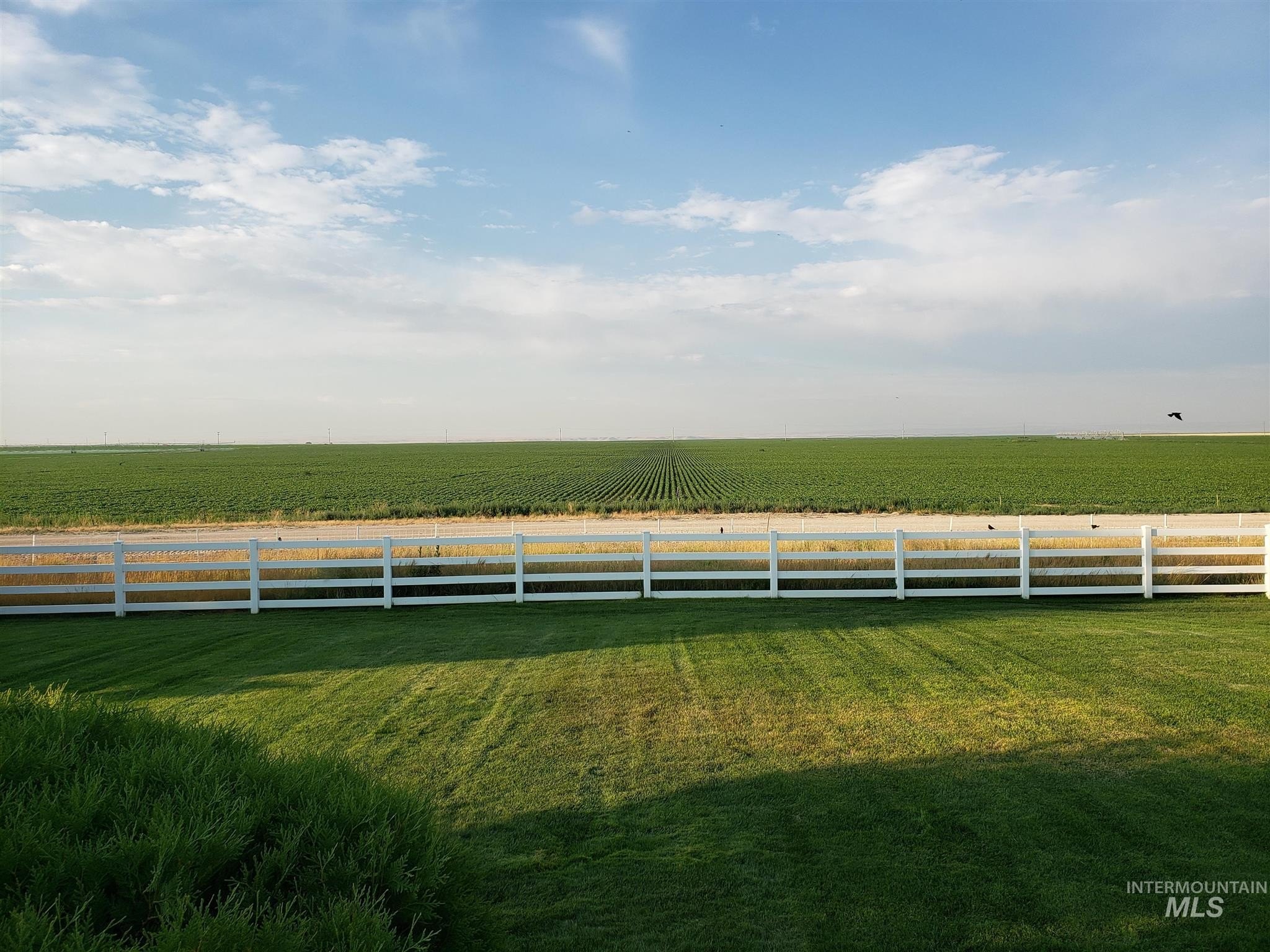 Mountain Home Farmland Opportunity