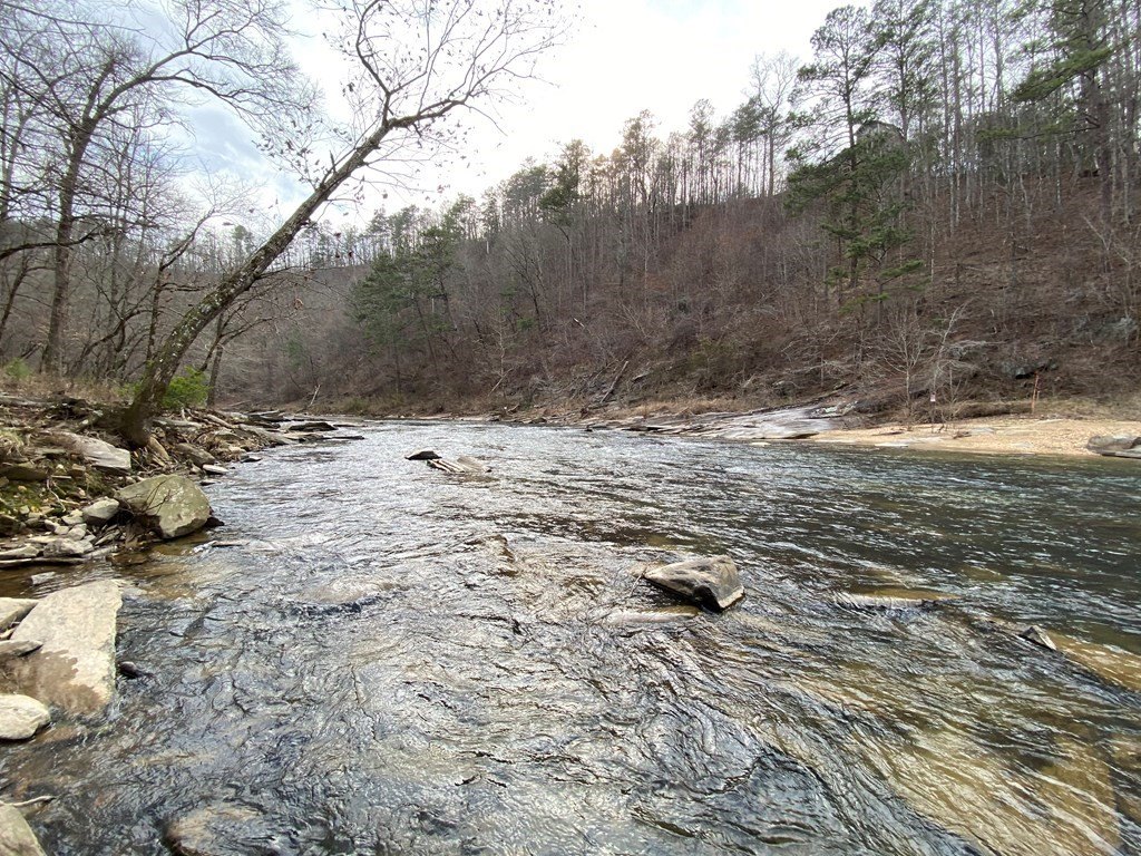 Picture 14