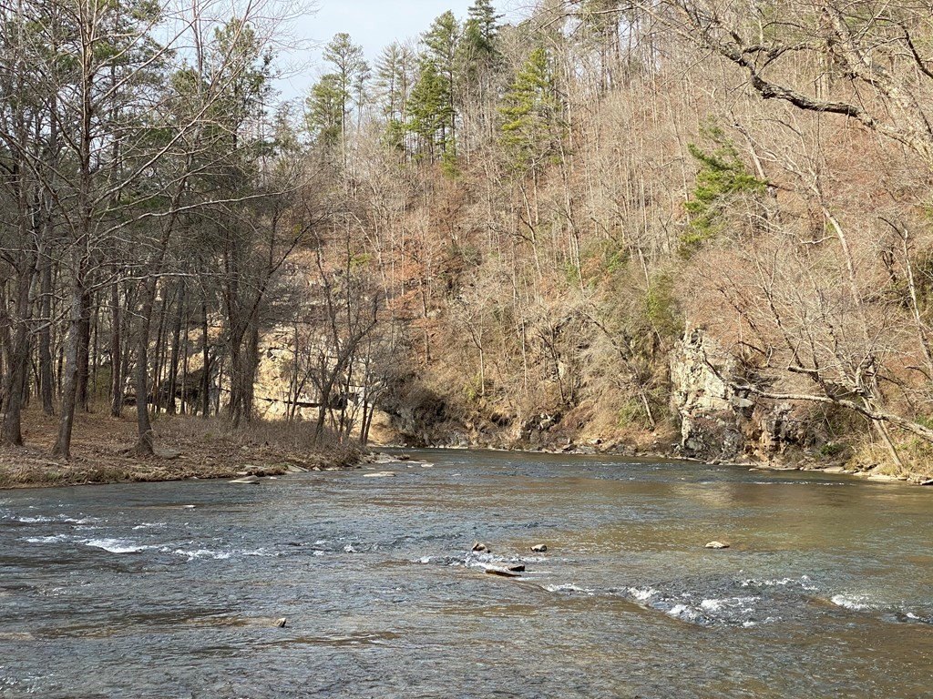 Picture 13