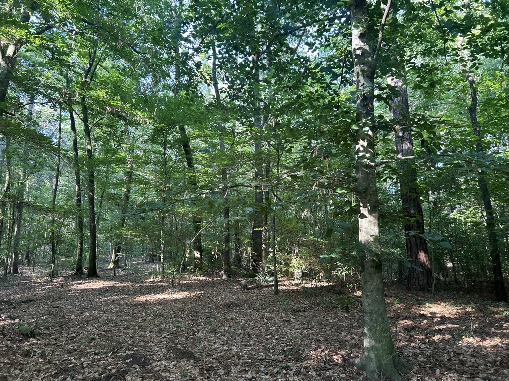 Picture 16