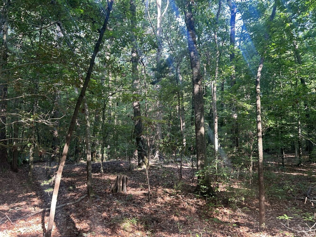 Picture 12