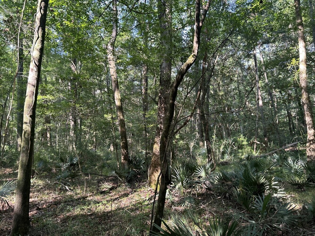 Picture 19